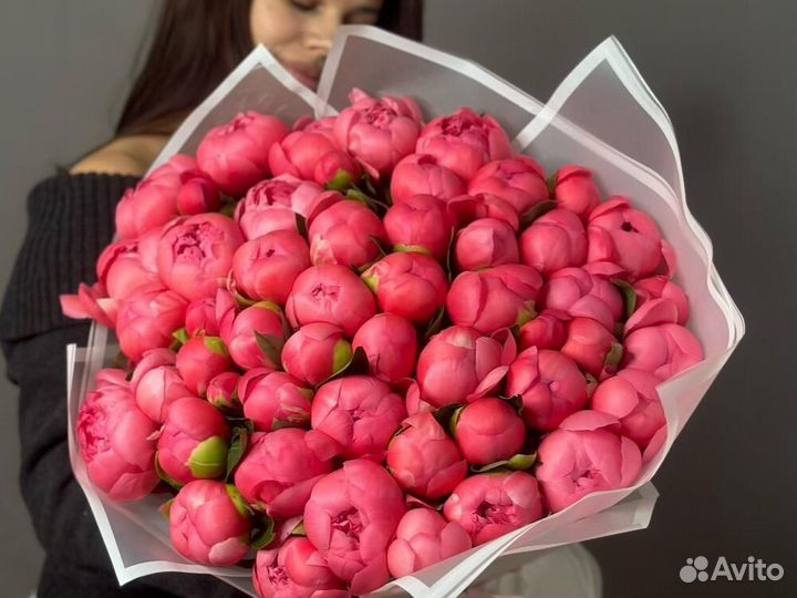 Голландские пионы