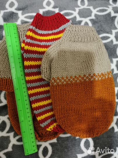 Одежда для животных