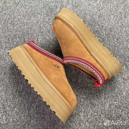 Ugg женские Tazz Slipper Chestnut