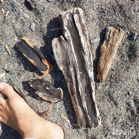 Наборы коряг, чёрный дрифтвуд. Под заказ