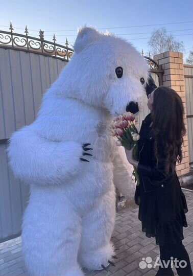 Поздравление ростовая кукла мишка Тедди зайка