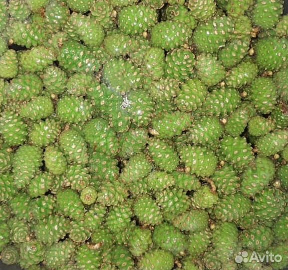 Малиновое варенье, варенье из одуванчиков, шишек