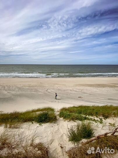 Турпоездки на Куршскую косу