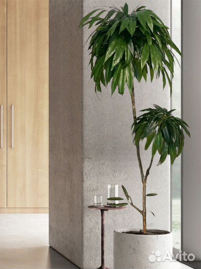 Искусственное дерево Лонгифолия