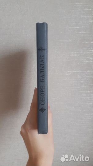 Книга Оноре Бальзак-Шагреневая кожа