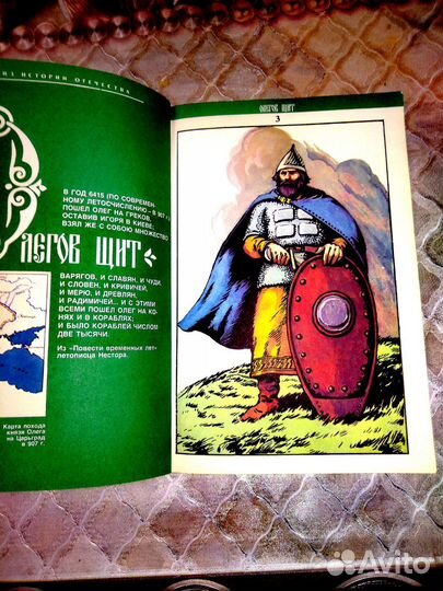 Большая энциклопедия грибов