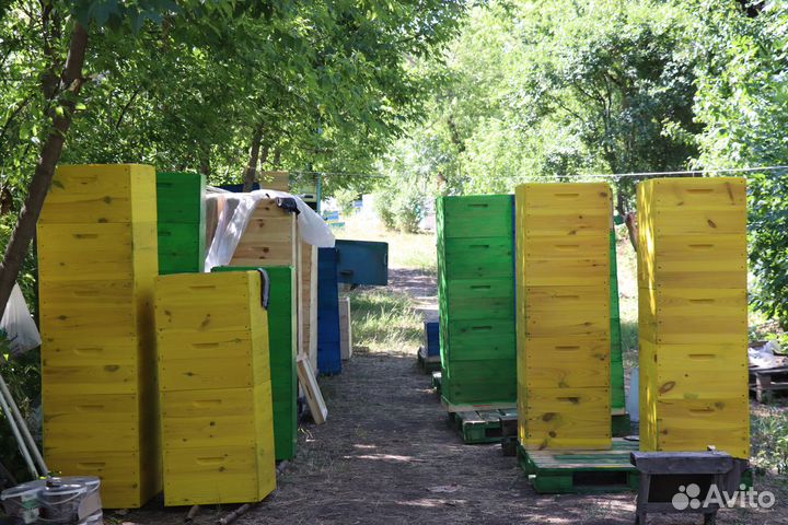Ульи 12 рамочные Дадан 2 корпуса + магазин