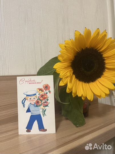 Раритетные открытки времен СССР оригинальные