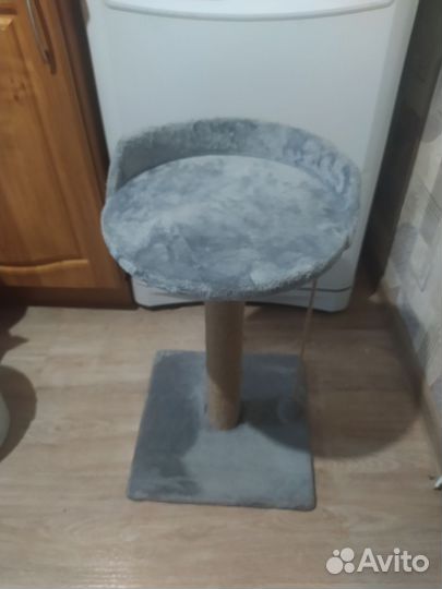 Когтеточка