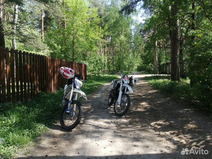 Avantis fx 250 lux