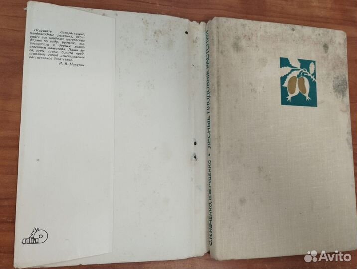 Ивченко С.И., Руденко В.Ф. Лесные плодовые растени
