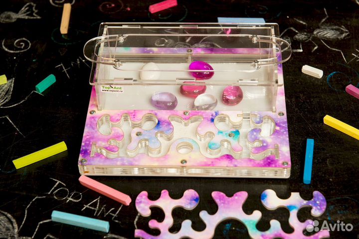 Ферма с муравьями / Формикарий