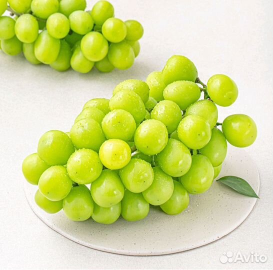 Виноград шайн мускат