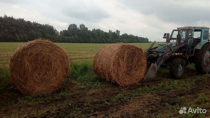 Продам сено в тюках луговое и люцерна