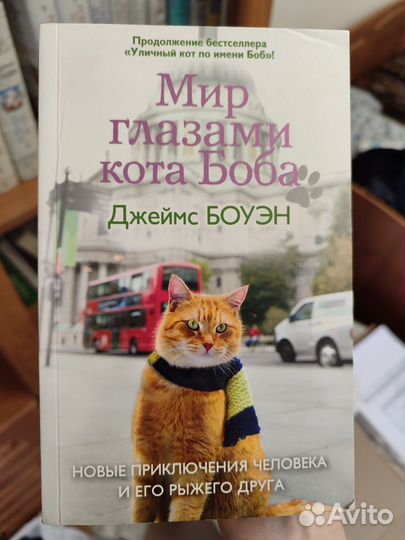 Мир глазами кота боба