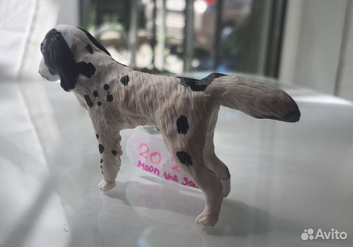 Самолеп собаки Сеттер