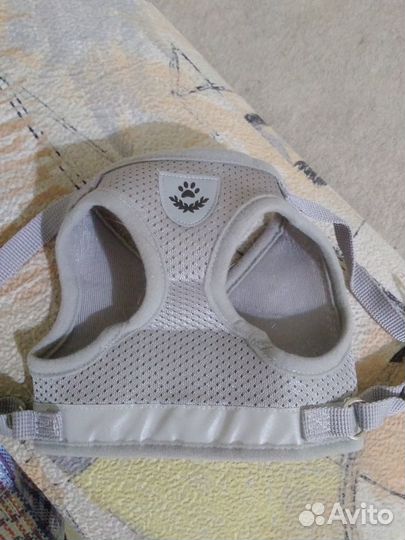 Новая жилетка-шлейка + поводок