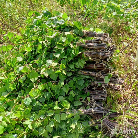 Веники для бани