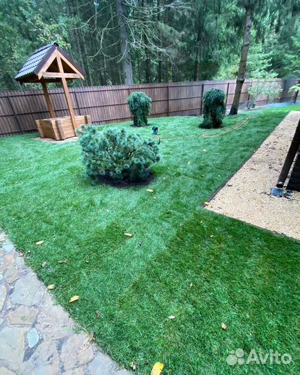 Рулонный газон