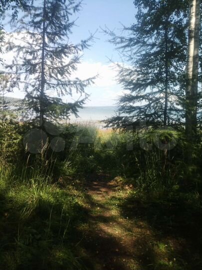 Дом 55 м² на участке 12 сот.