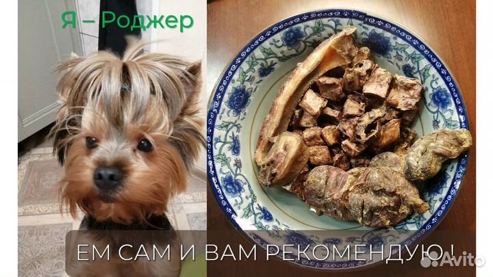 Легкое сушеное (лакомство для собак, 100 грамм)