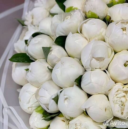 Пионы Букет пионов