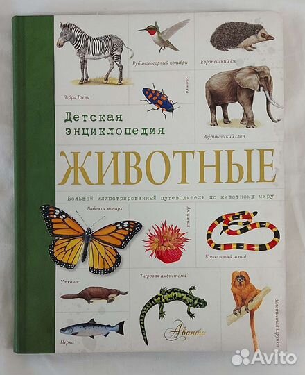 Детская энциклопедия Животные