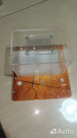 Муравьиная ферма горизонтальная