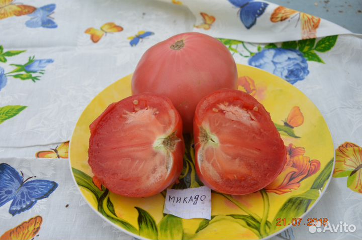Семена сызранской помидоры