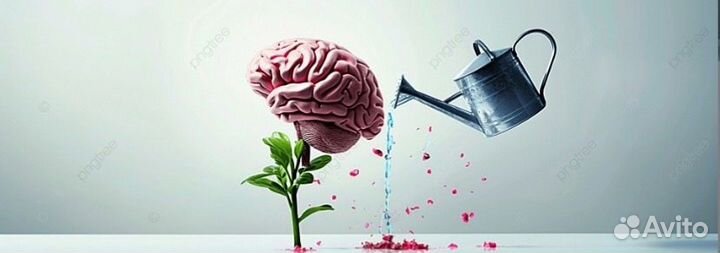 Помощь студентам Петрозаводск(Тесты, курсовая и др