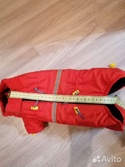 Дождевик для маленькой собаки