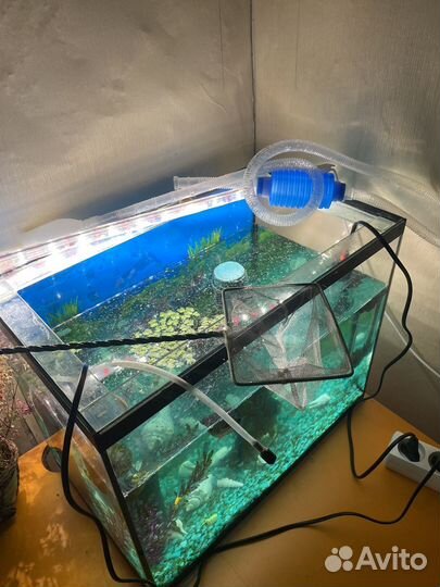 Аквариум с рыбками