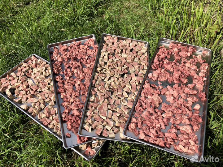 Натуральные лакомства для четвероногих друзей