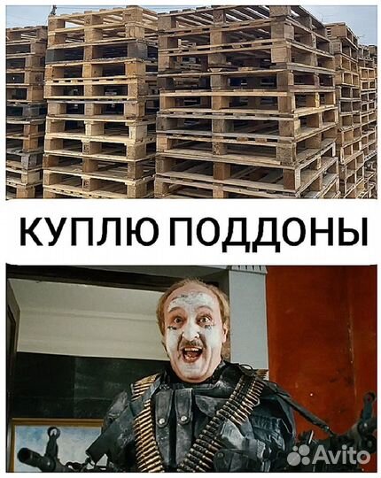 Поддоны
