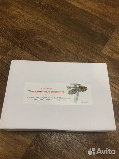 Коллекция Голосеменные растения