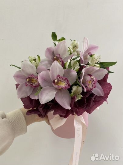 Орхидеи в коробке