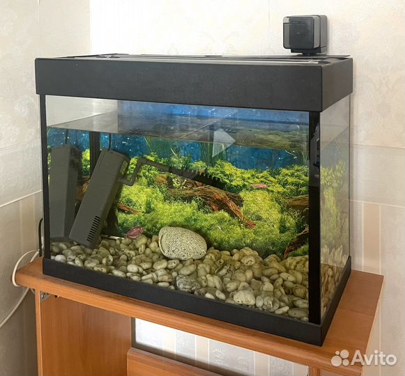 Аквариум 60л со всем оборудованием