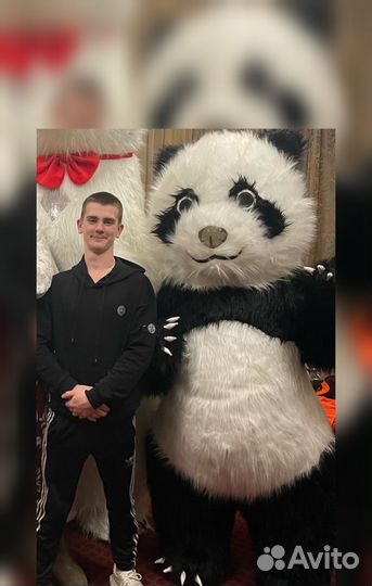 Мишки, Панда, поздравление, аниматор