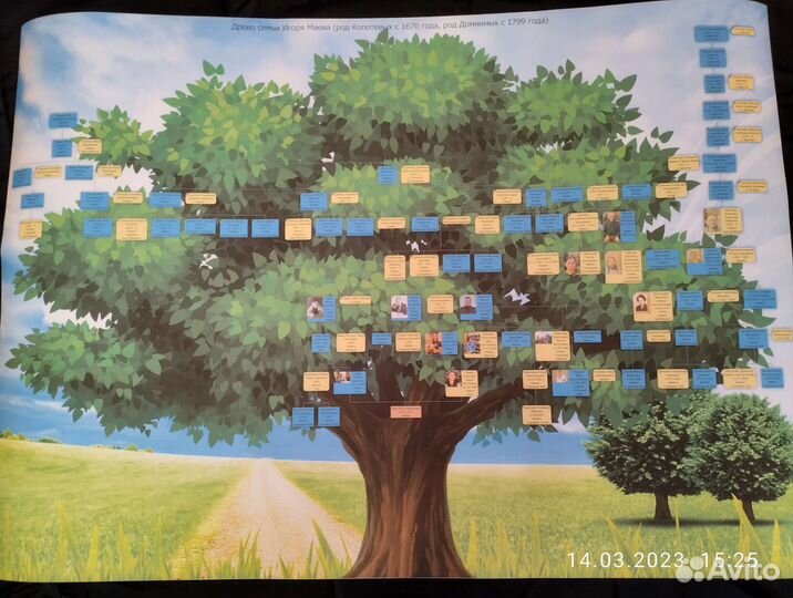 Генеалогия, составление родословной, поиск предков