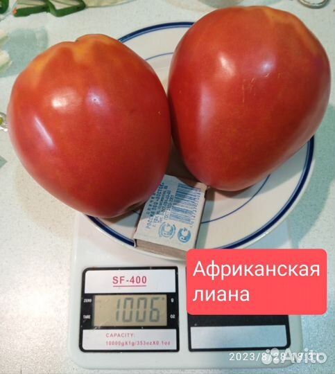 Семена томатов самые урожайные