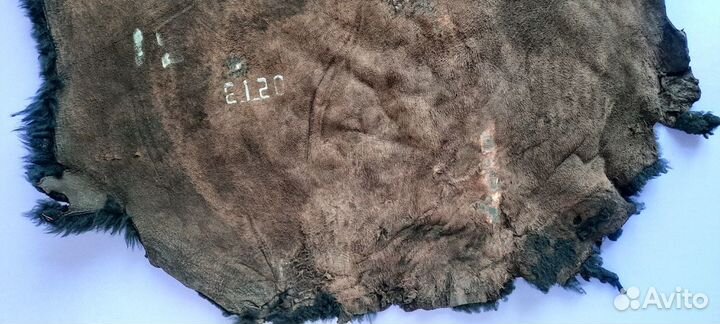 Шкура цигейка СССР 80 гг, высший сорт, новая