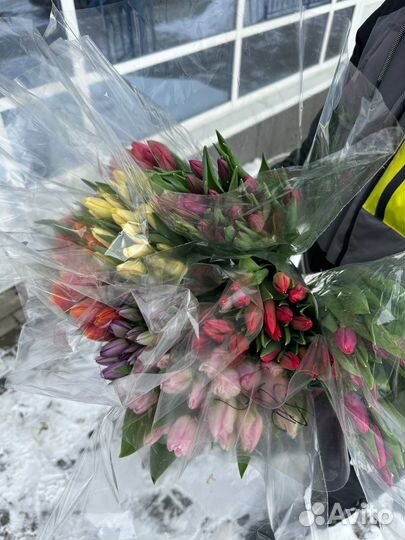 Тюльпаны розница