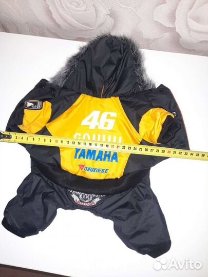 Одежда для собак