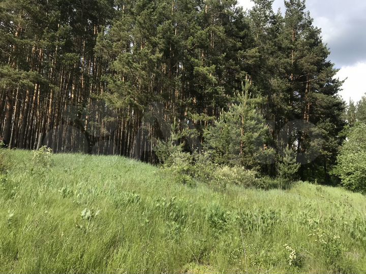 Участок 15 сот. (ИЖС)