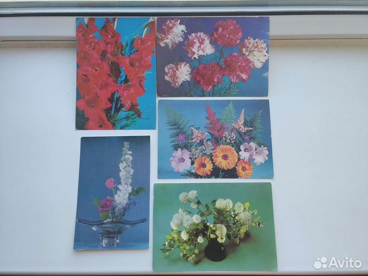 Открытки СССР