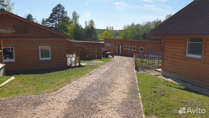 Фермерское хозяйство