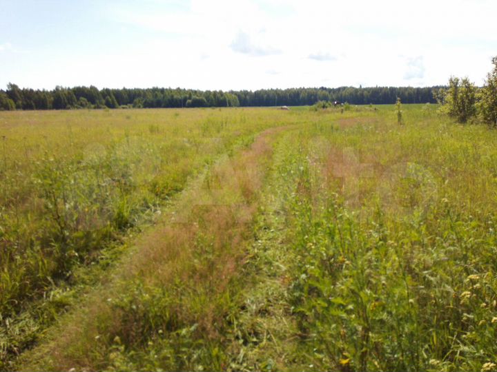 Участок 20 сот. (ИЖС)