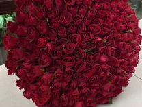 Цветы розы 51,101и букеты с доставкой Ставрополь