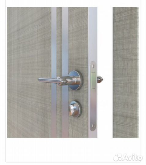 Дверь межкомнатная с алюминевыми молдингами