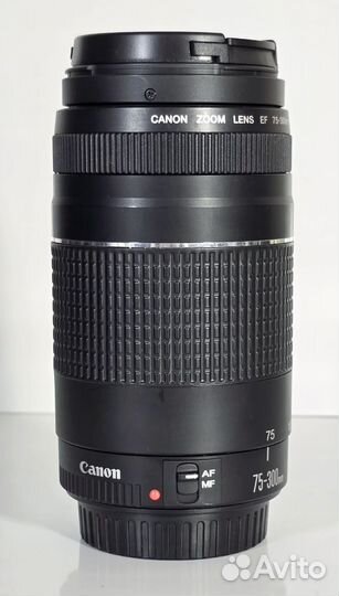 Canon EF 75-300mm f/4-5.6 III